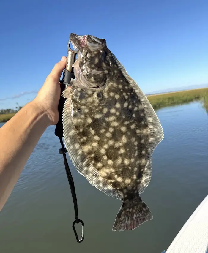 Angler holding a caught flounder fish over coastal water